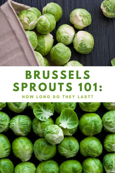 Discover the secrets to extending the shelf life of brussels sprouts and preventing spoilage. Learn how long brussels sprouts last, how to store them, and how to tell if they've gone bad. From refrigeration to freezing, find out the best storage practices to keep your brussels sprouts fresh and delicious for longer. Freezing Brussel Sprouts, Cabbage Broccoli, Cruciferous Vegetables, Cabbage Head, Storing Fruit, Root Veggies, Brussels Sprouts Recipe, Eco Friendly Kitchen, Nutrition Guide