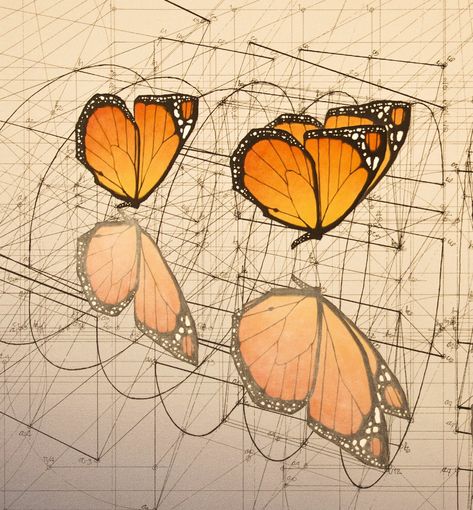 Fibonacci In Nature, Mathematical Drawing, Golden Ratio Art, Mathematics Art, The Golden Ratio, Sacred Architecture, Art And Science, Math Art, Geometry Art