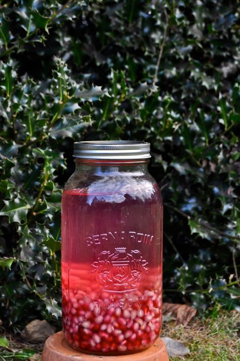 Pomegranate Gin, Pomegranate Liqueur, Christmas Gin, Infused Gin, Almost Christmas, Infused Vodka, Pomegranate Seeds, Mason Jar Mug, Favorite Drinks