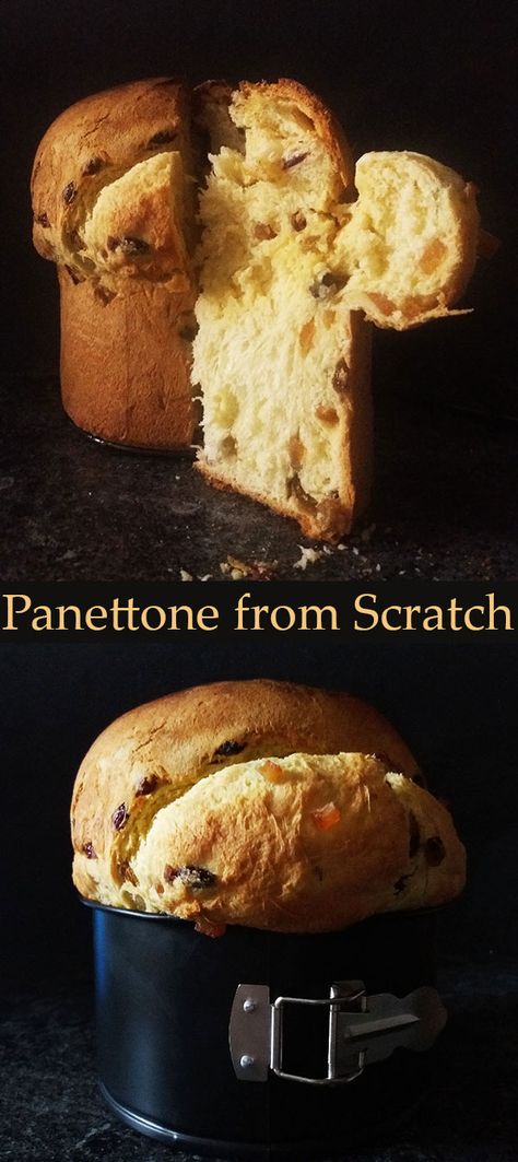 Panatone Recipes, Christmas Yeast Bread Recipes, Italian Sweet Bread, Pantone Bread Recipe, Pannetone Recipe Desserts, Italian Christmas Cookies Authentic, Vegan Panettone Recipe, Panetone Recipe, Pannetone Recipe