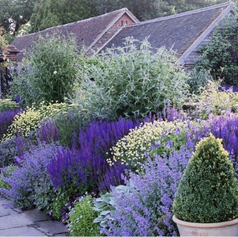 town place garden sussex england Cottage Garden Design, Purple Garden, Garden Architecture, Have Inspiration, Mediterranean Garden, Garden Borders, Flowers Garden, Country Gardening, Purple And White