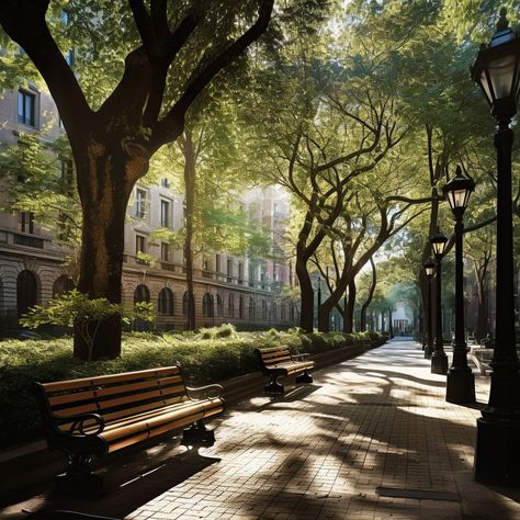 Stroll through an urban area where classic architecture meets tree-lined streets and inviting benches. The perfect fusion of nature and history within the heart of the city. City Trees Street, City Park Aesthetic, Urban Park Landscape, Urban Biodiversity, Street Bench, Park Architecture, Small Bones, Tree Lined Street, Urban Project