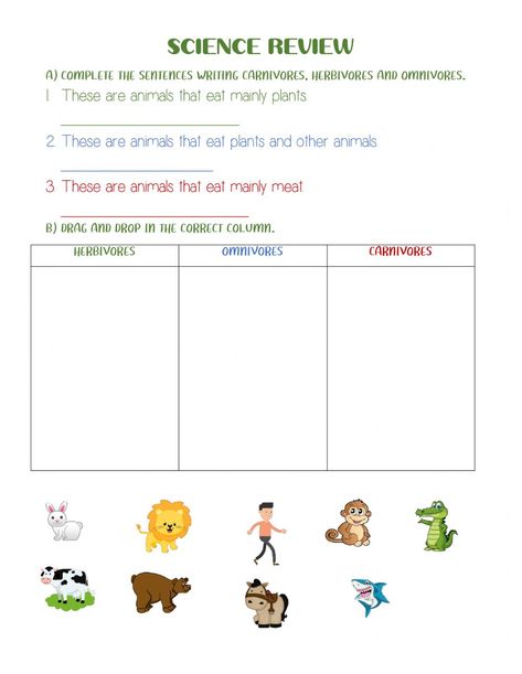 Carnivore Omnivore Herbivore Activities, Carnivore Herbivore Omnivore Worksheets, Herbivore Carnivore Omnivore Activities, Omnivore Carnivore Herbivore Worksheet, Invertebrates And Vertebrates Worksheets, Biome Worksheets, Herbivore Carnivore Omnivore Activities Dinosaur, Carnivores Herbivores Omnivores, Evs Worksheet