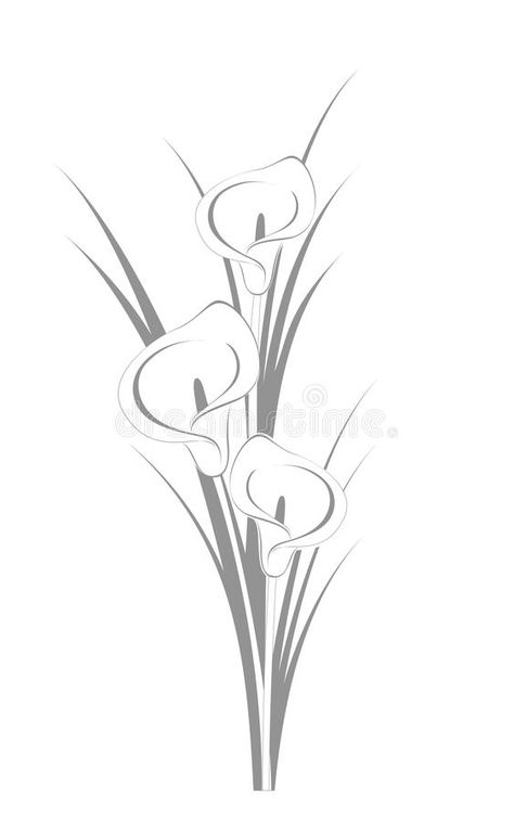 Calla lilies. Graphic illustration of three calla lillies on the white backgroun , #Affiliate, #Graphic, #illustration, #Calla, #lilies, #white #ad Calla Lillies Drawing, Lilly Illustration Flowers, Calla Lily Drawing, Lilly Illustration, Lilies White, Lilies Drawing, Easy Flower Drawings, Pencil Drawings Of Flowers, Flower Drawing Tutorials