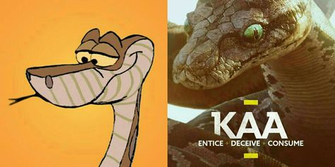 Kaa the Snake Kaa Snake, Jungle Book 1967, Kaa The Snake, Raised By Wolves, The Jungle Book, Sleeve Ideas, Sleeves Ideas, Tattoo Sleeve, The Snake