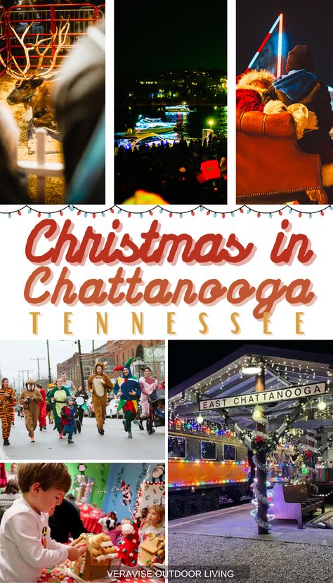 Pigeon Forge Christmas, Gatlinburg Christmas, Tennessee Christmas, Tennessee Aquarium, Christmas Things To Do, Boat Parade, Best Christmas Lights, Tennessee Vacation, Chattanooga Tennessee