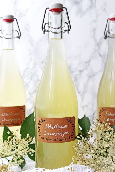 Elderflower Champagne Recipe, Elderflower Wine, Elderflower Recipes, Elderflower Champagne, Champagne Recipe, Elderberry Recipes, Homemade Alcohol, Elderflower Cordial, Foraging Recipes