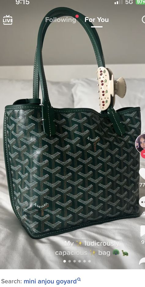 Mini Goyard Tote Outfit, Goyard Mini Anjou, 2024 Journaling, Goyard Tote Outfit, Anjou Mini, Goyard Anjou, Goyard Tote, Nyc Fits, Emi Jay