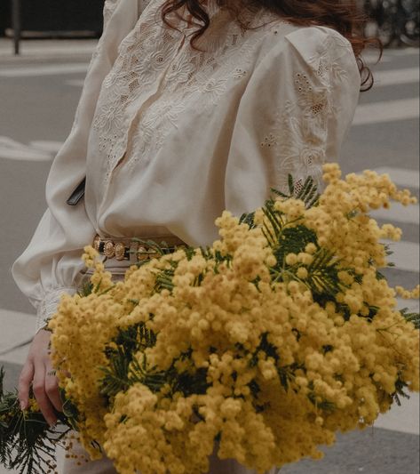 Spring flowers Mimosa Flower Aesthetic, Mimosa Aesthetic, Mimosa Flower, Yellow Aesthetic, Mimosa, Spring Flowers, Yellow, Flowers