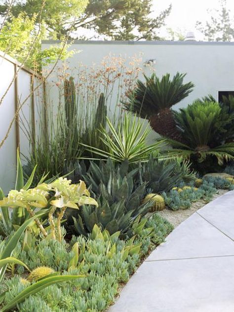 Natural Backyard Landscaping Ideas Save Money Creating Wildlife Friendly Garden Designs Low Water Landscaping, Lots Of Plants, Succulent Landscape Design, Contemporary Garden Design, Drought Tolerant Garden, Succulent Landscaping, Dry Garden, Low Maintenance Landscaping, Desert Garden