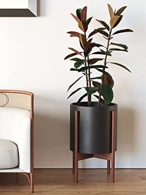 Amazon.com: Mid Century Plant Stand with Pot Included - 10 inch Planter with Stand for Indoor Plants & Flowers - Large Ceramic Planters - Wood Legs, Modern, Tall Floor Wooden Snake Plant Pot Stand Holder - Black : Patio, Lawn & Garden Standing Planters Indoor, Plant Pot With Stand, Wooden Snake, Mid Century Modern Plants, Planter With Stand, Mid Century Plant Stand, Large Ceramic Planters, Plant Pot Stand, Mid Century Plants