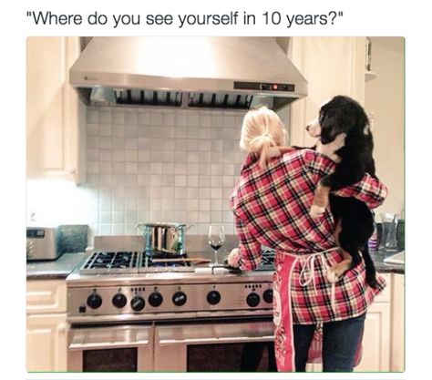 And when you dream about the future: | 17 Pictures That Are Literally You As A Dog Parent Behind Blue Eyes, I Dont Like You, See Yourself, Dog Parents, Dog Quotes, Tgif, Life Goals, Bones Funny, The Words