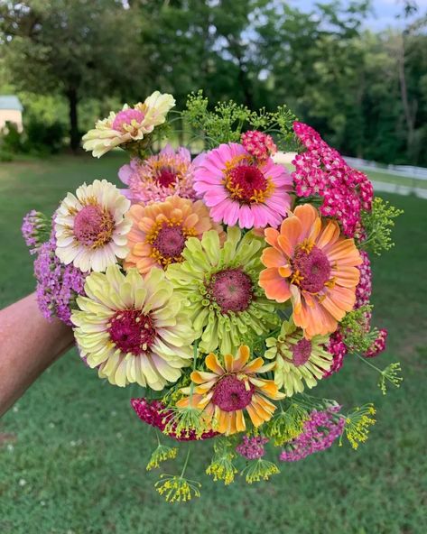 Zinnia Bridal Bouquet, Zinnia Bouquet, Long Stem Flowers, Summer Flowers Garden, Zinnia Flowers, Buy Seeds, Flower Cart, Flower Farmer, Cut Flower Garden