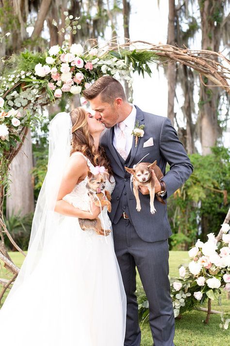 Chihuahua Wedding, Light Pink Wedding, Couple Kissing, Happy Tails, Kissing Couples, Dog Wedding, Dog Parents, Learning Photography, Ranch Wedding