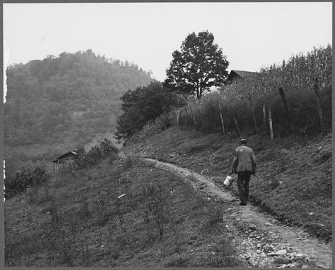 Mccreary County, Harlan County, Coal Miners, My Old Kentucky Home, Appalachian Mountains, Coal Mining, Past And Present, Digital Library, Old Pictures