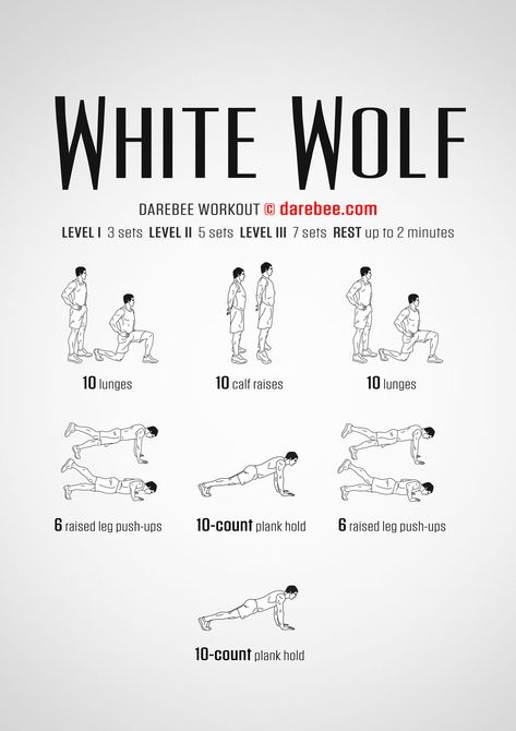 White Wolf Workout Werewolf Workout, Wolf Workout, Viking Workout, Pre Workout Stretches, Body Type Workout, Better Posture Exercises, Army Workout, Workouts Cardio, Find Your Dream Job