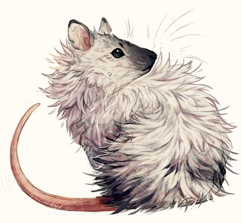 Fluffy Rat, Rat Art, Pet Mice, Cute Rats, Pet Rats, Animal Sketches, Cute Animal Drawings, Soft Sculpture, Rodents