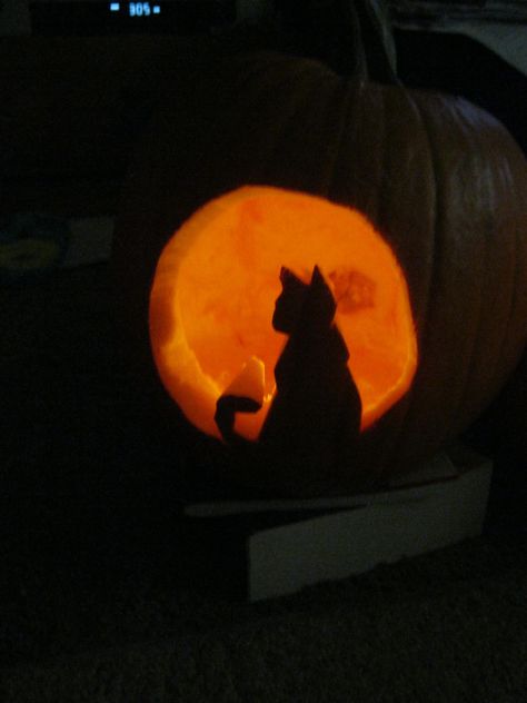 Cat Sitting in a pumpkin, carved into pumpkin. Kitty Cat Pumpkin Carving, Cat In The Hat Pumpkin, Kitty Cat Pumpkin, Pumpkin Faces Ideas, Awesome Pumpkin Carvings, Cat Pumpkin Carving, Pumpkin Carved, Pumpkin Carving Stencils Free, Cute Pumpkin Carving