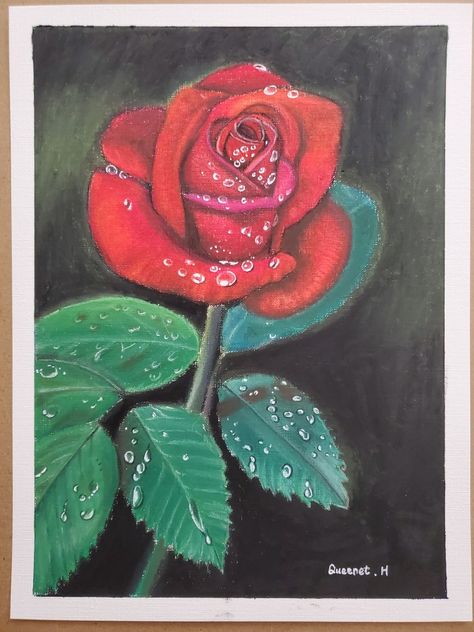 Rose Oil Pastel, Nagomi Art, Oil Pastel Drawings Easy, I Love Being Black, Oil Pastel Drawings, Basic Drawing, Kids Drawings, Rose Oil, Botanical Drawings