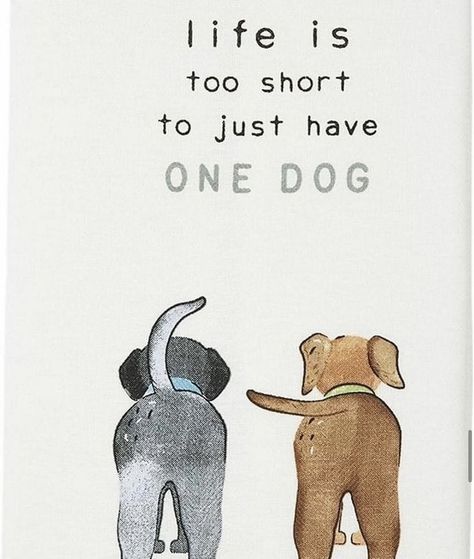 Dog Quotes Love, Dog Rules, Life Is Too Short, Mud Pie, Dog Quotes, Too Short, Dog Art, Dog Life, I Love Dogs