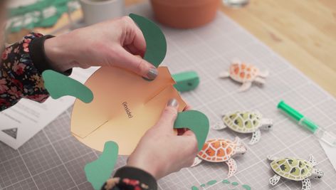 Lockdown Craft Activity “Pip The Paper Turtle” | Sam Pierpoint Paper Turtle, Craft Activity, Tropical Party, Ocean Animals, Paper Sculpture, Printable Paper, Craft Activities, Good Time, Art Show