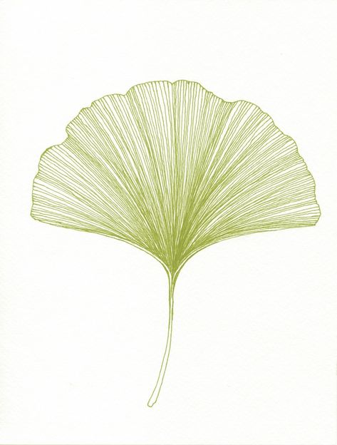 Wall Print I Leaf Sketch, Leaves Sketch, Gingko Biloba, Gingko Leaves, Leaf Drawing, Ginkgo Leaf, Tree Tattoo, Plant Illustration, Leaf Art