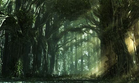 Agrin's Gate ��– Part VII: Tales of their pasts, The Feywild, The Town | Dave Lenton's Blog Alice Madness Returns, Fantasy Forest, Magical Forest, Enchanted Forest, Sacred Space, Middle Earth, Fantasy Landscape, Light Up, Fantasy Art