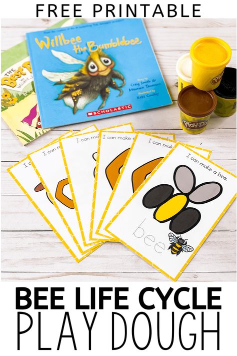 Life Cycle Of Insects Preschool, Life Cycle Of A Bee, Life Cycle Of A Bee Free Printable, Bee Inquiry, Bee Life Cycle Craft, Bee Inquiry Kindergarten, Bumble Bee Preschool Activities, Bee Activities For Preschool Free Printables, Bee Science Preschool