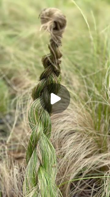 Y v e t t e  L e i h g e b e r on Instagram: "Mexican feather braid🌱🌱🌱🍾🥂🍊😊
#mexicanfeathergrass #gardening #garden #grasses #grassfed 🤍" Garden Grasses, Feather Braid, Mexican Feather Grass, Grasses, Braids, On Instagram, Instagram, Plaits