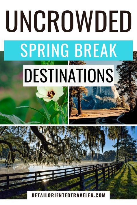 These quiet spring break destinations for families are all in the United States, making it easy for you to fly or drive. These spring break ideas are all family-friendly, mostly avoid the crowds, and are a mix of warmth, adventure, outdoor activities, or skiing. Spring Break Dinner Ideas, Spring Break Kids Family Trips, Spring Break In Texas, Texas Spring Break With Kids, Things To Do For Spring Break, Spring Break Places To Go, Midwest Spring Break Trips, Spring Break Ideas For Teens, Spring Break Destinations Usa