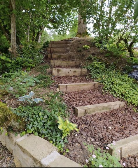 Tiger Landscape, Hillside Steps, Steep Hill Landscaping, Steep Backyard, Steep Gardens, Landscape Stairs, Landscape Steps, Landscaping On A Hill, Bush Garden