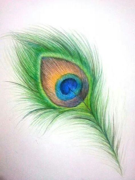 Beautiful Drawing Of Peacock Feather, Peacock Feather Pencil Drawing, How To Draw A Peacock Feather, How To Draw Peacock Feathers, Colour Shading Drawing, Morpankh Painting, Peacock Feathers Drawing, Pencil Colours Art Drawings, Krishna Feather