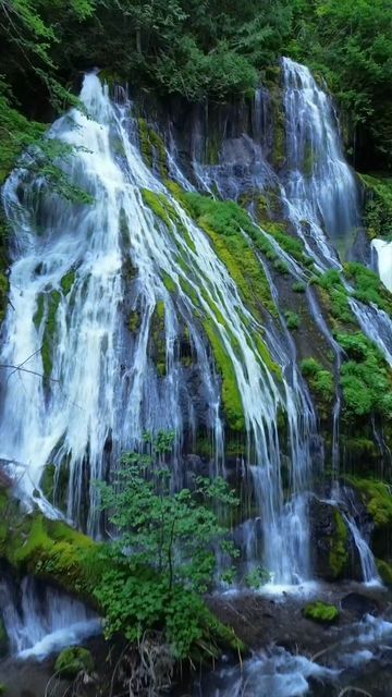 Jessica Butterfield | Hikes + Adventure Travel on Instagram: "Can you believe this gorgeous waterfall is such a short walk from the parking area?! ⁉️

➡️ Share this with someone you want to chase waterfalls in Washington with! 

Panther Creek Falls - Southwest Washington 
🗺️ 0.16 mile hike with 100 feet of elevation. (Easily accessible for almost anyone.) 
✨Pro tip : There is no good signage for this hiker-only trail but it is well maintained with a nice viewing deck for the falls. The trail drops right off the road just southwest of the parking area. So save a copy of directions before you head out and lose service. 

Do you prefer waterfall hikes or Mountain View’s? 

#hikingszn #girlswhohike #washingtontrails #adventuregirls #outdoorsy Waterfalls of Washington easy hike trails" Viewing Deck, Parking Area, Waterfall Hikes, It Is Well, The Trail, Mountain View, Adventure Travel, Seattle, Washington