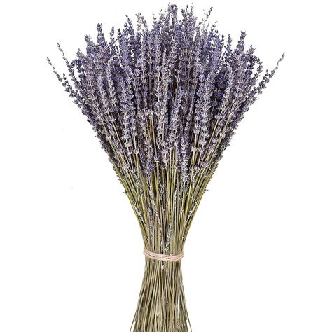 june-fox-dried-lavender-stems Pride Diy, Cottage Style Interiors, Diy Tableware, Candles Fragrance, Dried Lavender Flowers, Cottage Style Decor, Smart Garden, Country Cottage Style, Flowers Dried