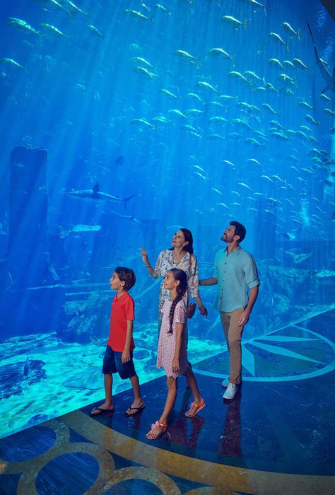 We are here to design your unforgettable family vacation in Abu Dhabi and Dubai. We can tailor-make every part of your trip to fit your style, budget, and time constraints. This fun-filled kids-friendly itinerary includes thrilling bonding activities for your entire family. From meeting Penguins, rip-roaring water rides, and a hands-on desert safari, to exploring a tropical indoor rainforest. Dubai With Friends, Family Vacations, Dubai Family, Dubai With Family, Dubai Family Photography, Safari In Dubai, Newcastle Airport, Dubai Activities, Dubai Aquarium