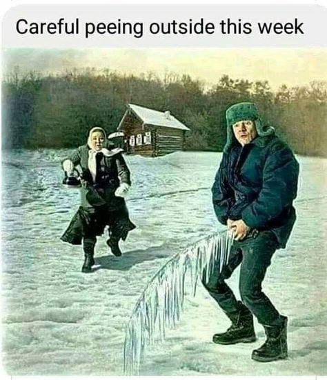 Cold Humor, Cold Weather Funny, Winter Humor, Art Quotes Funny, Weather Quotes, Crazy Quotes, Twisted Humor, Caricatures, Funny Cartoons