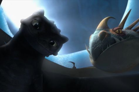 Toothless and Stormfly(is it weird to ship dragons?) Toothless And Stormfly, Toothless And Stitch, Dragons Riders Of Berk, Dreamworks Characters, Hiccup And Toothless, Hiccup And Astrid, Dreamworks Dragons, Dragon Party, Dragon Trainer