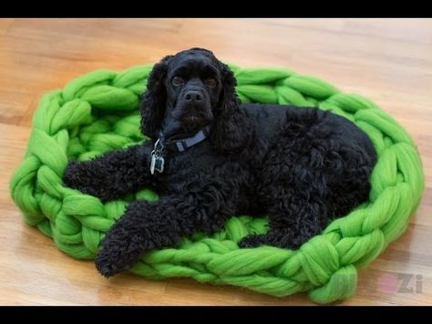 Learn How to Arm Knit or Crochet a Super Comfy Bed for Your Pet Arm Crocheting, Bed For Dogs, Wool Cat, Diy Dog Bed, Merino Sheep, Knitting Patterns Toys, Pet Dogs Puppies, Chunky Blanket, Dog Pet Beds