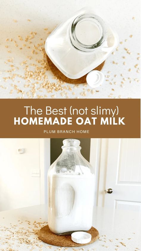 Homemade Oat Milk That's Not Slimy (The Best Recipe) Homemade Oat Milk, Vegan Latte, Oat Milk Recipe, How To Make Oats, Desserts Around The World, Kid Friendly Drinks, Delicious Drink Recipes, Dairy Free Milk, Plant Based Milk