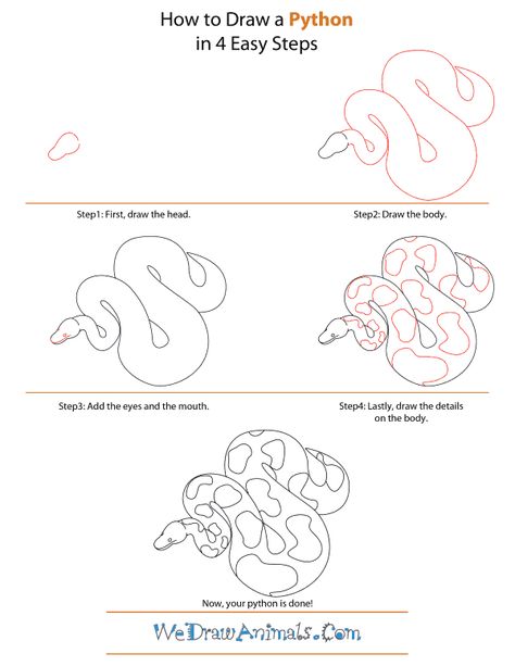 Ball Python Sketch, Easy Python Projects, Ball Python Drawing, Beginner Python Projects, Basic Python, Python Drawing, Python Tutorials, Pencil Art For Beginners, Draw Animals