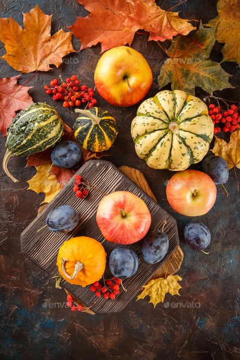 Fall Harvest Vegetables, Still Life Pumpkin Photography, Autumn Still Life Photography, Autumn Fruits And Vegetables, Photography Vegetables, Autumn Feast, Fall Still Life, Autumn Vegetables, Autumn Still Life