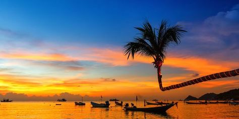 On the beach, Koh Tao, Thailand. Photo / 123RF Wedding Beach Ideas, Thailand Luxury, Affordable Destination Wedding, Wedding Affordable, Thailand Pictures, Thailand Hotels, Best Islands To Visit, Pattaya Beach, Koh Tao Thailand