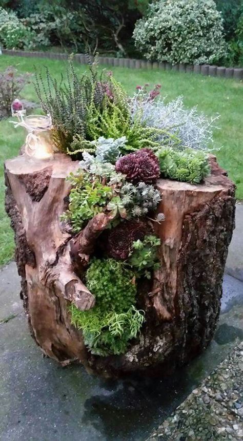 Cheap Landscaping Ideas, Succulent Planter Diy, Beautiful Home Gardens, Garden Ideas Cheap, Succulent Garden Diy, Easy Landscaping, Succulent Gardening, Garden Deco, Have Inspiration