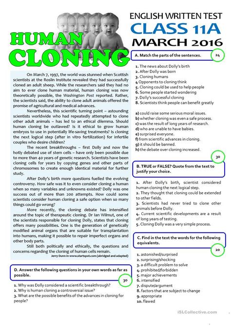 HUMAN CLONING - 11th grade test - English ESL Worksheets for distance learning and physical classrooms 11th Grade English, Human Cloning, Ela Writing, 11th Grade, Reading Worksheets, Teaching Jobs, Esl Worksheets, Reading Passages, Writing Skills