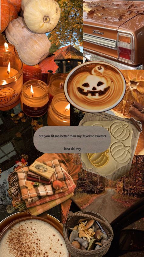 Background, fall, Herbst, autumn, pumpkin, pumpkin spice, Lana del Rey, sweater weather, orange, cinnamon, recipe, baking Cinnamon Recipe, Background Fall, Fall Boards, Recipe Baking, Pumpkin Pumpkin, Earthy Scent, Fall Feels, Favorite Sweater, Autumn Aesthetic