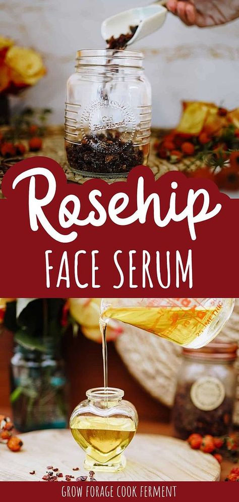 Try this rosehip face serum for a nourishing and revitalizing skincare experience. Made from wild-harvested rose hips, this serum is rich in vitamin C and anti-inflammatory properties, ideal for dry winter skin. Find more winter wellness, vitamin c benefits for skin, herbal face serum recipes, and Herbal Oil Recipes at growforagecookferment.com. Homemade Vitamin C Serum Recipes, Home Apothecary Recipes, Herbal Oil Recipes, Rosehip Recipes, Face Serum Recipe, Rosehip Oil Benefits, Serum Recipe, Herbal Skincare, Herbal Remedies Recipes