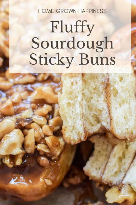 Sourdough Pecan Rolls, Sourdough Sticky Buns Cinnamon Rolls, Sourdough Discard Sticky Buns, Sourdough Pecan Sticky Buns, Sourdough Caramel Rolls, Recipes With Sourdough Starter, Sourdough Sticky Buns, Sourdough Cinnamon Buns, Sourdough Treats