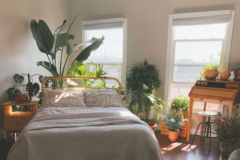 New Today -  A 400-Square-Foot LA Studio Apartment Shows the Power of (Lots of) Plants maidsandmoore.com La Studio Apartment, Weekend Morning Routine, New York Studio Apartment, Bed Placement, Lots Of Plants, Lazy Weekend, Art Deco Bathroom, Eclectic Modern, Studio Apartments