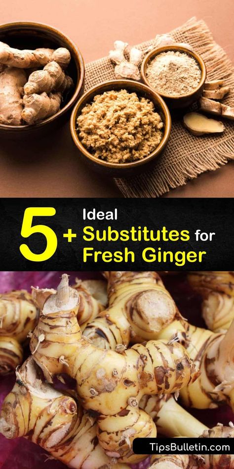 Discover the best fresh ginger substitution. If a recipe calls for a tablespoon of fresh ginger root, use a quarter-teaspoon of ground ginger, or three tablespoons of candied ginger. For a different flavor, substitute allspice, cardamom, or turmeric. #substitute #fresh #ginger Substitute For Ginger, How To Preserve Fresh Ginger Root, How To Use Fresh Ginger Root, Ways To Use Ginger Root, Ginger Substitute, How To Grate Ginger, Homemaking Skills, Healthy Tea, Alpha Gal