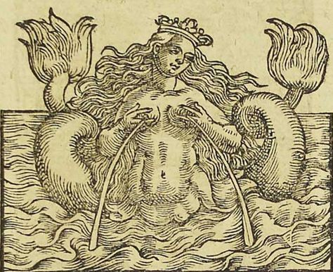 Alchemy Hand, Mermaid History, Esoteric Art, Real Mermaids, Ancient Maps, Mermaids And Mermen, Vintage Mermaid, Sea Monsters, Medieval Art